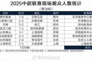 中超第28轮、中甲第28轮、中乙第30轮、中冠决赛第9轮观众统计 中超第28轮、中甲第28轮、中乙第30轮、中冠决赛第9轮观众统计