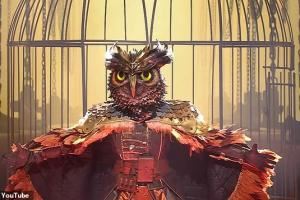 邮报:阿尔德维雷尔德疑似参加比利时“蒙面歌王”,本人并未否认 邮报:阿尔德维雷尔德疑似参加比利时“蒙面歌王”,本人并未否认