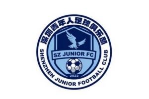 因深圳赛区承办全运会,深圳青年人主场收官战无法对外开放观赛 因深圳赛区承办全运会,深圳青年人主场收官战无法对外开放观赛